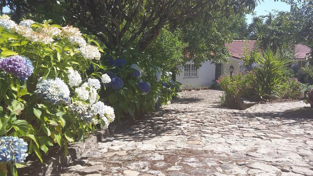 Willa Casa Boavista Paredes de Coura Zewnętrze zdjęcie